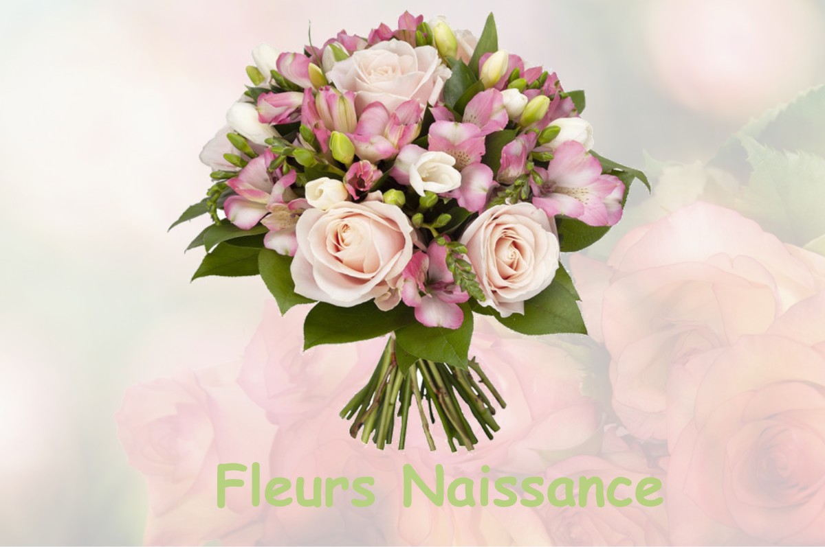 fleurs naissance POUY-DE-TOUGES