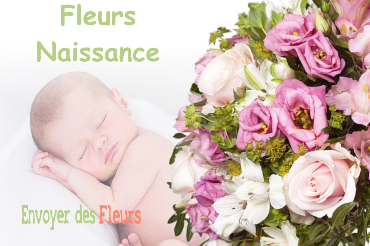 lIVRAISON FLEURS NAISSANCE à POUY-DE-TOUGES